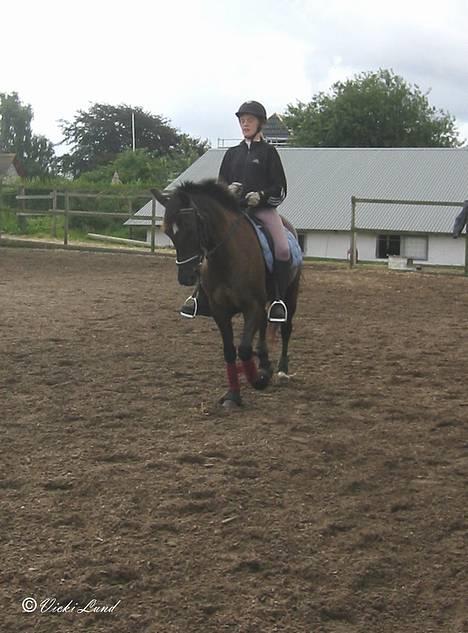 Anden særlig race Stella  - en af vores sidste ture... foto: vicki lund billede 7