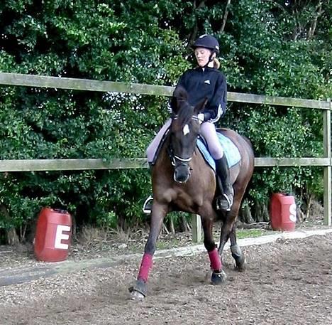 Anden særlig race Stella  - versade med mig, søndag den 28. foto: vicki lund billede 8