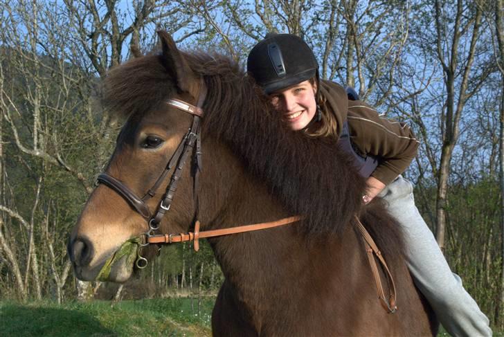 Islænder Saga frå Bringsværd <3 - mig og Saga =) april 2009 =) billede 16