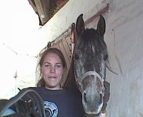 Sportsaraber (A) T.A. Madir - Madir og jeg - under tilridning billede 15