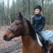 Anden særlig race Skipper (gamle part)