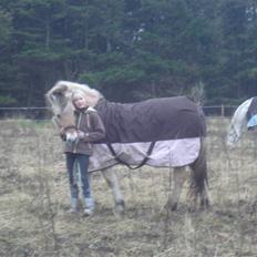 Fjordhest LOTTE Gl. PART