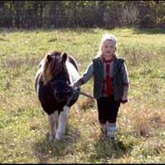 Shetlænder Bullermand