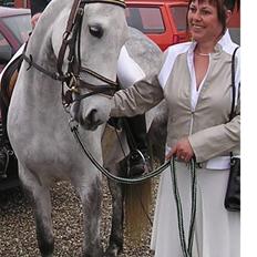Lipizzaner oma