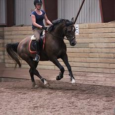 Anden særlig race Flik Flak *SOLGT*