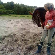 Anden særlig race Dücell