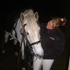 Anden særlig race Sonny