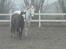 Anden særlig race Turn Around - Lucky & Turner :D elsker det her billede (:
