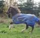 Welsh Cob (sec D) Prince T - Gammel Part <3