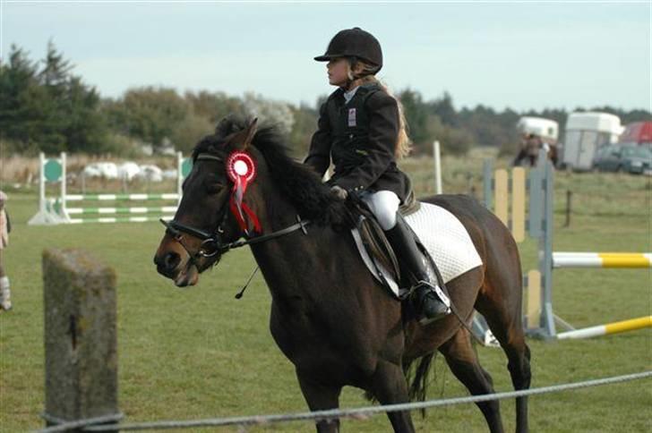 Anden særlig race LM´S Paturijn (Krumme) - 1. plads til stævne i Hirtshals rideklub<3 Foto: HIR billede 8