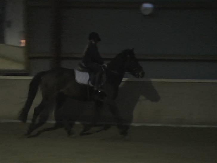 Anden særlig race LM´S Paturijn (Krumme) - Miig og Krumme rider undervisning<3 Foto: Lene billede 9