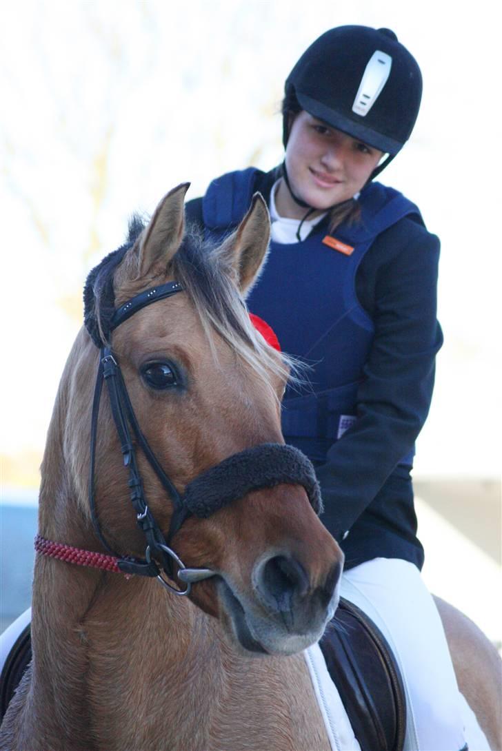 Anden særlig race Molly - Har lige været inde og få førstepladsen, Foto Katrin foto billede 12
