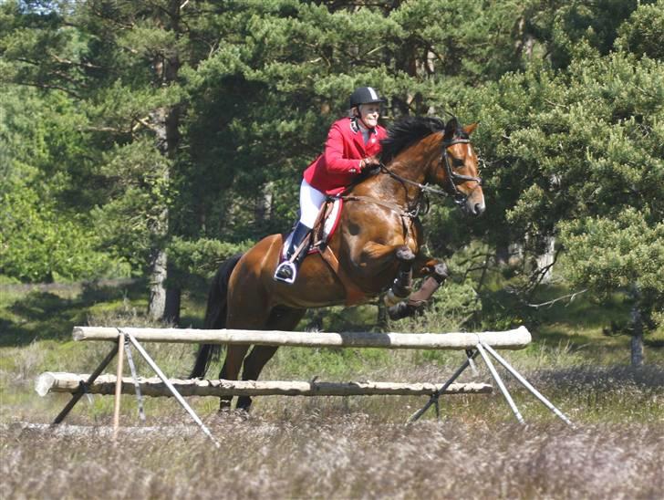 Anden særlig race Nightmare Macohl *RIP* - Jagt i salten langsø med jydsk 2009 billede 20