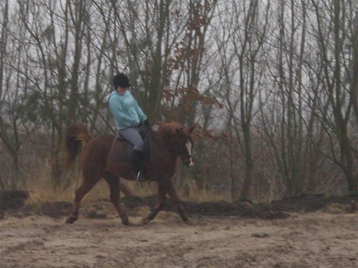 Sportsaraber (A) Zag  - mig der ride:´D iloveyou iloveyou iloveyou iloveyou billede 10