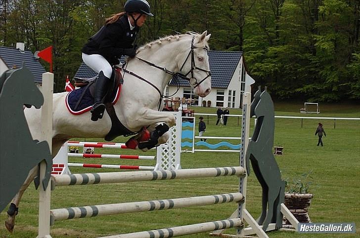 Anden særlig race Mr. Mello  - Mr. Mello i en LB til Morsø med Emma, som fik lov at låne ham.  billede 1