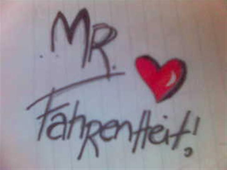 Anden særlig race Mr. Fahrenheit (SOLGT) - "Mr. Fahrenheit" Mettes værk ;) <33 billede 18