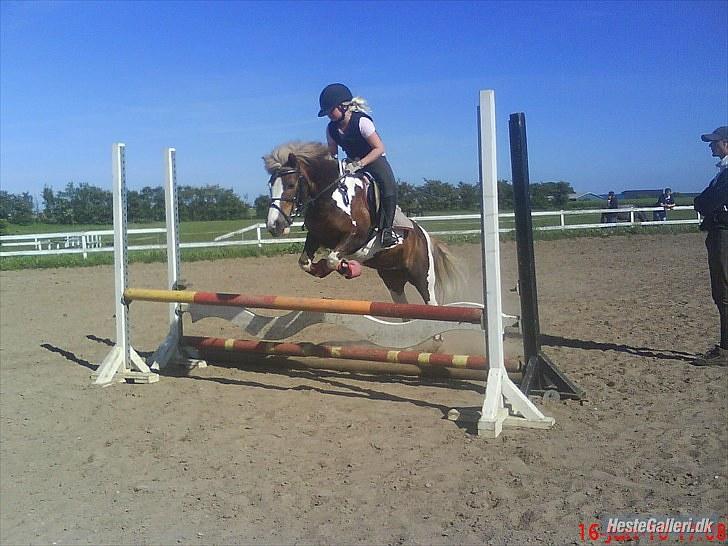 Anden særlig race Dolly - Marie&Dolly(: billede 12