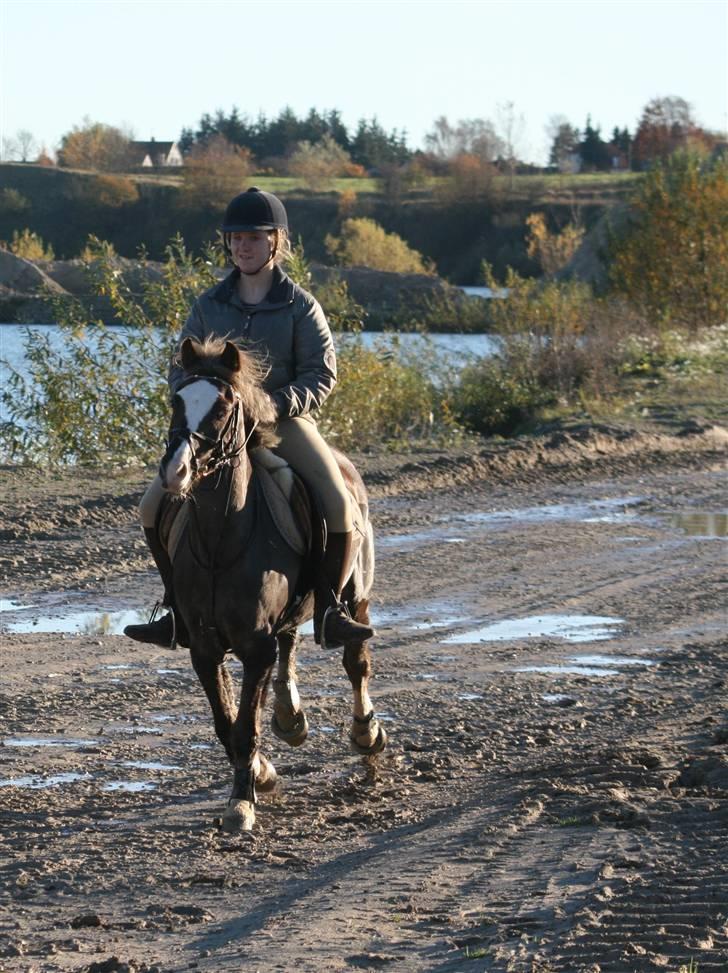 Anden særlig race Turn Around - tur i grosgraven :) billede 17