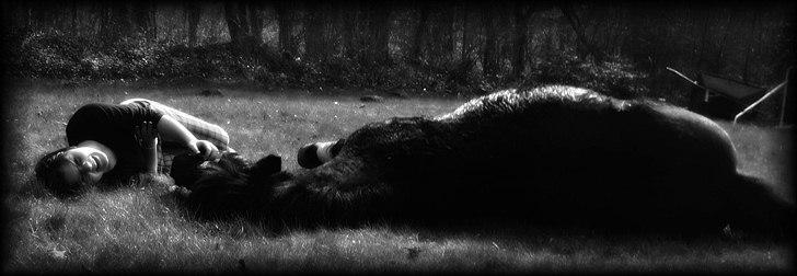 Anden særlig race Frede *soulmate* - jeg er ved dig, uanset hvad der sker.<3 billede 4