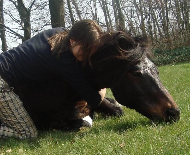 Anden særlig race Frede *soulmate* - du elskede mig for den jeg var.<3 billede 6