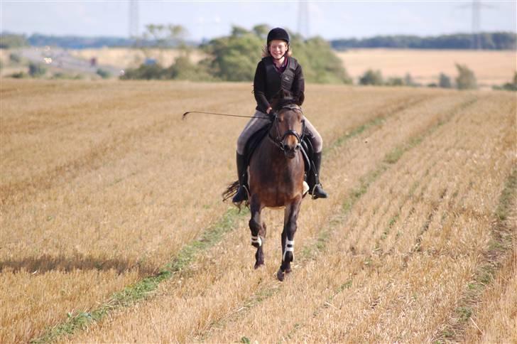 Anden særlig race pyxis billede 10