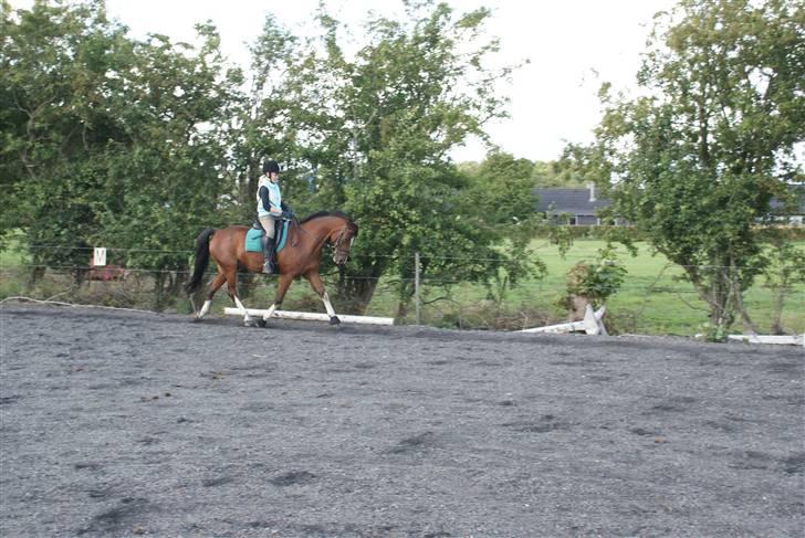 Anden særlig race Pinochio - Woow... billede 8