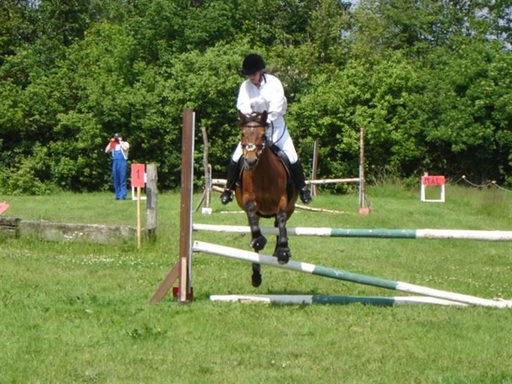 Anden særlig race Jane - mig og jane stævne i kragelund. cupvinder 2005 maxi og midi spring billede 10