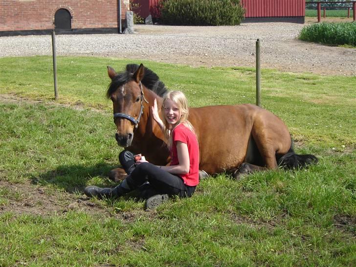 Anden særlig race Jane - lotte og jane billede 11