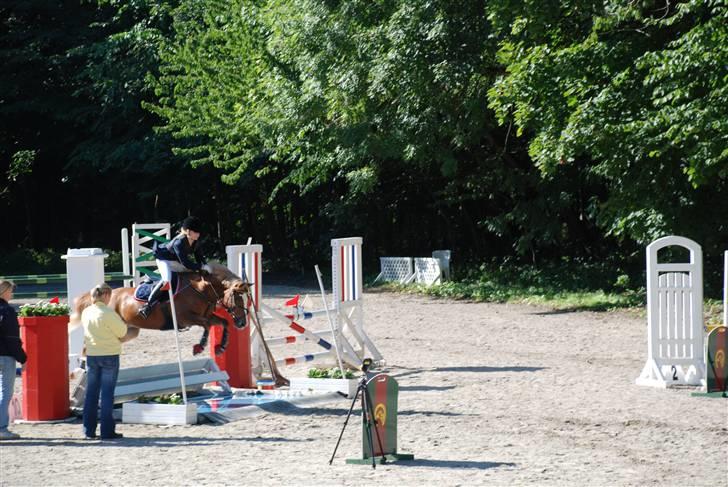 Irish Cob sjors, SOLGT;*( - sjors over vandt bare for sejt  billede 9