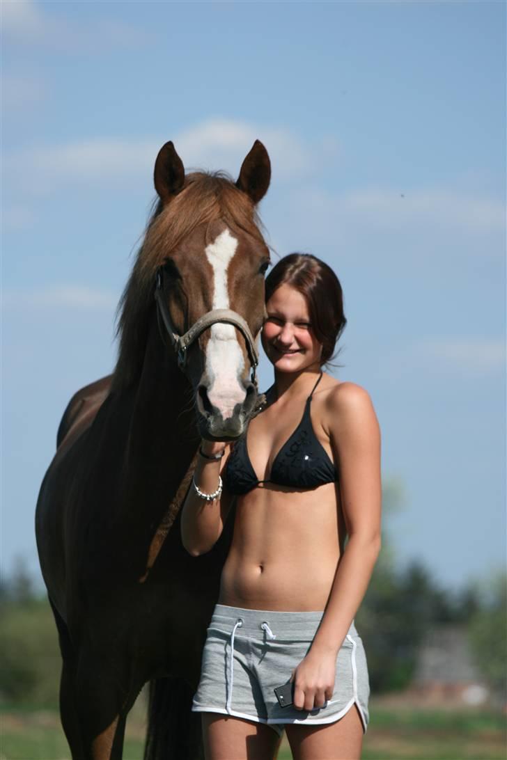 Anden særlig race Maccoy - smukke pony - jeg har solen i øjnene. billede 11