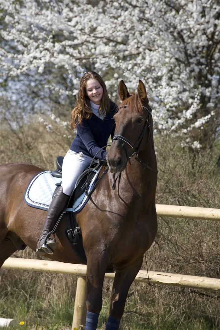 Gelderland Ornando - *RIP* - Farverne er bare kanonen her :D billede 6