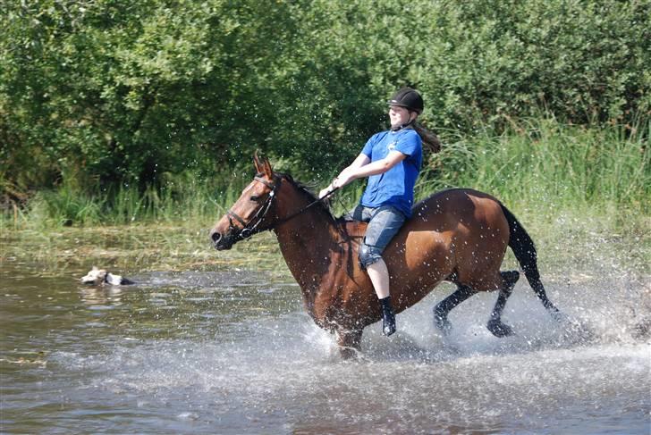 Hollandsk Sportspony Patty  RIP - 8# Vi er i Ikast vi galloperer i deres sø... billede 8