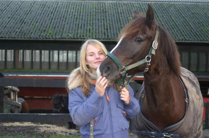 Anden særlig race Stella *aflivet* - Er vi ikke bare søde sammen? :D billede 2