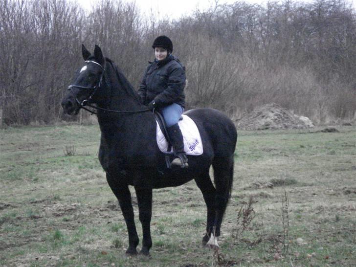 Oldenborg Spirit*RIP* - Holder lige ud kig :D billede 1