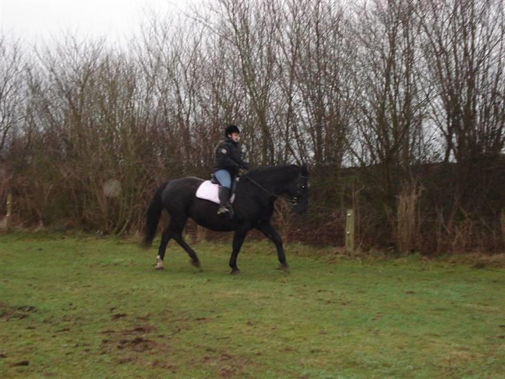 Oldenborg Spirit*RIP* - Første ridning billede 4