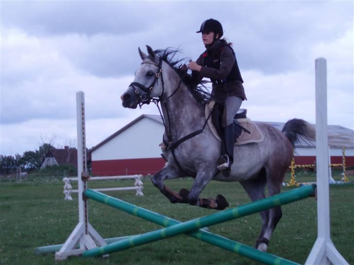 Sportsaraber (A) Zhazir Ibn Malik billede 14