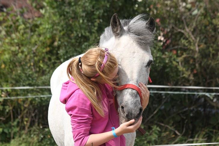Anden særlig race PRIK. - Savner dig. billede 2