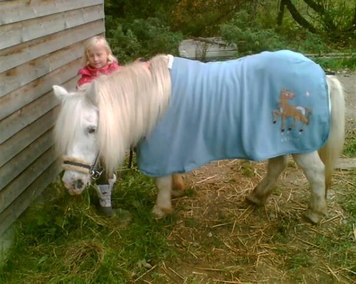 Anden særlig race Emil - R.I.P marts 2011 - Emil med sit nye skridttæppe billede 15