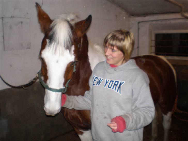 Pinto Pancho - Solgt <3 - Hva´ er det lige du laver Christina (:  billede 8