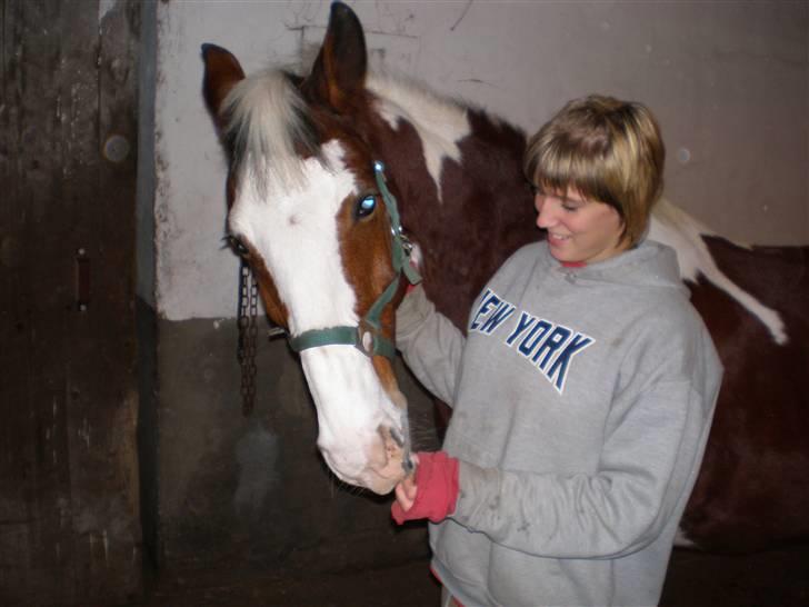 Pinto Pancho - Solgt <3 - Han er lidt nysgerrig (: billede 9