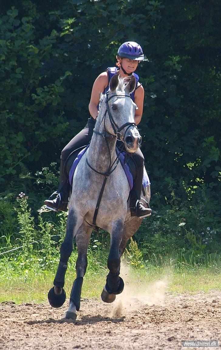 Anden særlig race Lotus - terrænkursus SRÅ juli 2010 billede 19