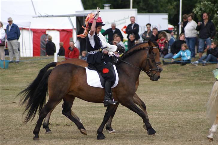 New Forest Elmholts Janeth - SOLGT - - På vej ud fra gallaen 08. (vinker til publikum):) billede 6