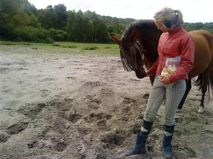 Anden særlig race Dücell - Man gør alt for en godbid:) billede 3