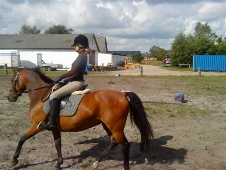 Anden særlig race Dücell - Nåed lige at komme med. billede 4