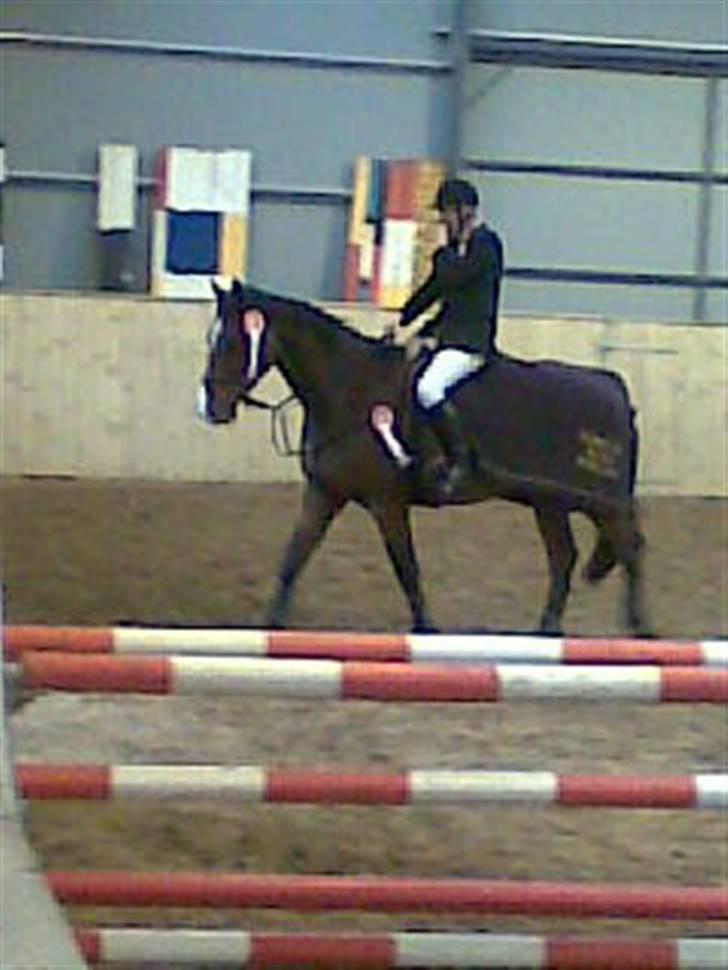 Holstener Lillestaruphøjs Casmir himmelhest  - Klubmester 2009 i spring billede 8