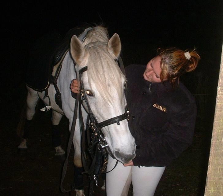 Anden særlig race Sonny - Efter dressurtræning, efterår 2006...  billede 2