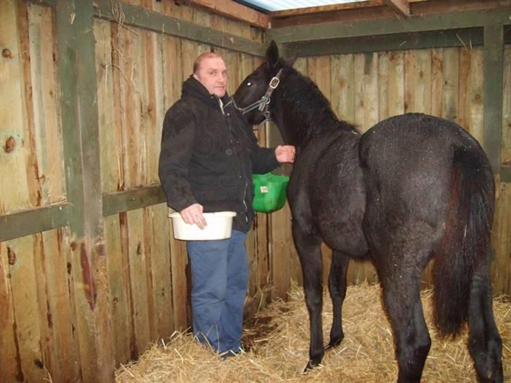 Anden særlig race Bjøslevsgaards Santana - Nussetid.. billede 4