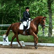 Anden særlig race Diana (RIP)