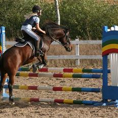 Anden særlig race Lauritz