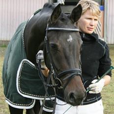 Dansk Varmblod Landlyst cara